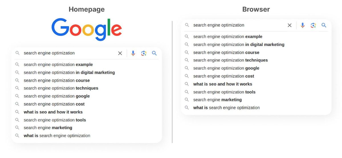 Learn the Basics of Google Search Features