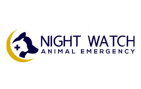 night watch